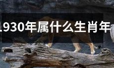 探究历史上1930年所属的生肖年是什么？