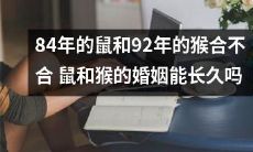 在婚姻中,84年的鼠和92年的猴会是完美的匹配吗?他们的婚姻是否会被时间考验并长久持续下去?