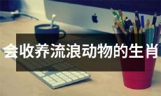 十二生肖中，哪些生肖可能会选择收养流浪动物呢？