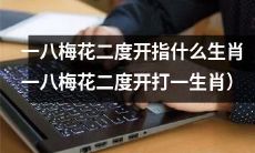 哪种生肖符合“一八梅花二度开”这个谜语？