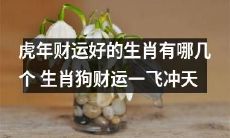 哪些生肖在虎年会有荣耀的财运，而其中包括生肖狗，其财运将一飞冲天？