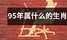 哪些属于95年生人的生肖呢？