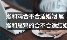 根据生肖命理学，属猴和属鸡是否适合结婚？猴和鸡的婚姻匹配度如何？