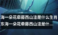 探究东海一朵花牵藤西山洼所代表的生肖是什么，揭开谜底