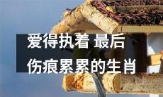 被爱情执着追逐的生肖,最终承受着伤痕累累的痛苦