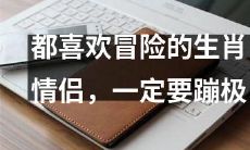 富有冒险精神的生肖情侣们必须要挑战极限——不妨来一场惊险刺激的蹦极体验！