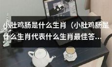 什么是小肚鸡肠的生肖代表？哪个是小肚鸡肠最佳答案的生肖？