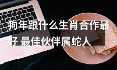 在狗年中,哪个生肖是最佳伴侣?与蛇人搭档最能合拍!
