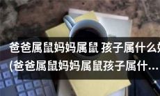 如果父母都属鼠，那么他们的孩子应该属于哪个生肖呢？(If Both Parents Are Rats, Which Zodiac Sign Should Their Child Belong To?)