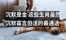 沉默是金？这些生肖虽然寡言无语，却过着最通透的生活！