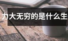 哪个生肖具有无限力量？