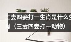 请问哪一种动物被称为“三妻四妾”？——寻找“三妻四妾打一生肖”