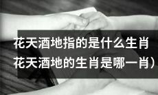 哪个生肖的代表词汇是花天酒地（花天酒地代表哪个生肖）？