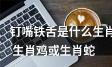 请问“钉嘴铁舌”是属于哪个生肖，是生肖鸡还是生肖蛇？