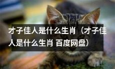 哪些生肖最有才子佳人气质?(哪些生肖最有才子佳人气质? 百度网盘)