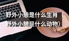 哪些生肖喜欢在野外小憩（哪些动物喜欢在野外小憩）？