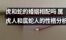 属虎人和属蛇人：性格评估与婚姻契合度分析