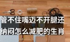 十二生肖中，那些嘴巴欲盖弥彰、动不动就是大快朵颐却又迟迟未成功瘦身的人，你还在为如何减肥而困扰吗？