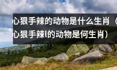 哪些生肖被认为是心狠手辣的动物？
