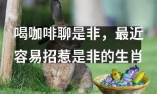 最近在喝咖啡聊天时需要小心的容易招惹是非的生肖