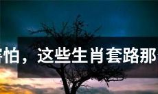 惊人之深！不敢相信，这些生肖的玄妙奥妙太扎心了