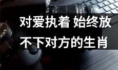 十二生肖中，哪些动物始终无法割舍对爱情的执着，无法放弃对另一半的纠缠？