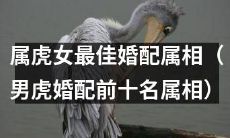 属虎女最佳婚配选项:男虎婚配前十名属相推荐列表