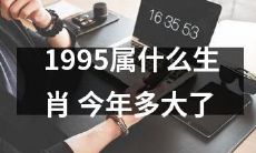请问1995年出生的人属于哪个生肖？今年他们已经多少岁了呢？