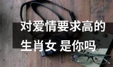 你是否是一个在爱情中有极高要求的属相女性？