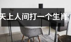 天上人间中的娱乐节目：挑战12生肖之一，切身体验成为动物，带来独特的沉浸式体验！