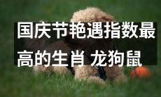 哪个生肖在国庆期间最易遇到美好的爱情缘分？排名前三的热门选择是龙、狗以及鼠