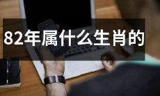 人？在中国的传统农历中，82年出生的人属于哪个生肖？