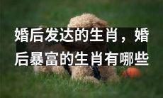 哪些生肖在婚后取得成功并暴富呢?哪些生肖婚姻带来了财富和发展?