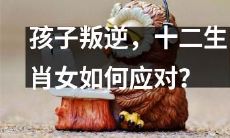 面对孩子叛逆，如何具体运用中国十二生肖中的女性特质进行应对？