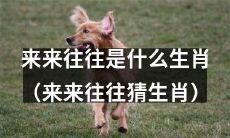 你能猜出“来来往往”所代表的哪个生肖吗？（“来来往往猜生肖”改写）