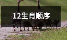 十二生肖的排列顺序，根据传统文化和天干地支的关系确定