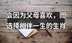 选择一生伴侣时，由于父母的喜好，你会倾向于选择哪个生肖？