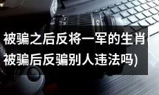 生肖中被骗后反击,是否违法?这些策略可能让你从欺骗者手中夺回权力!