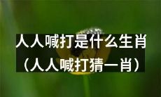 大家都在猜测“人人喊打”的是哪个生肖（猜一肖）