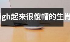 高涨情绪下表现愚蠢的十二生肖