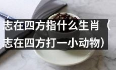 以四处旅行为目标的是哪一种生肖(以四处旅行为目标的生肖是哪一种小动物)