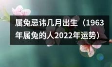 1963年属兔的人必须知晓的几个月出生忌讳及其对2022年运势的影响