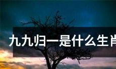 请问九九归一原本指代哪一个生肖呢？