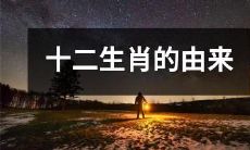 探究中国文化中十二生肖起源的历史和文化背景