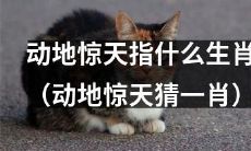什么生肖与“动地惊天”相联系？（关于“动地惊天”的生肖猜测）
