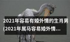 2021年属马男士存在婚外情风险?哪些生肖男可能面临此困扰?