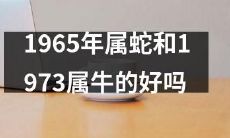 属蛇与属牛的人在1965年与1973年出生,他们的个性和命运有何相似之处?