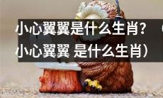 「关于‘小心翼翼’的生肖是什么?解答来了!」