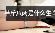 属于半斤八两这个称呼所代表的生肖是哪一个？