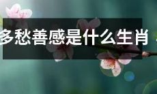哪些生肖容易情感波动较频繁和敏感?